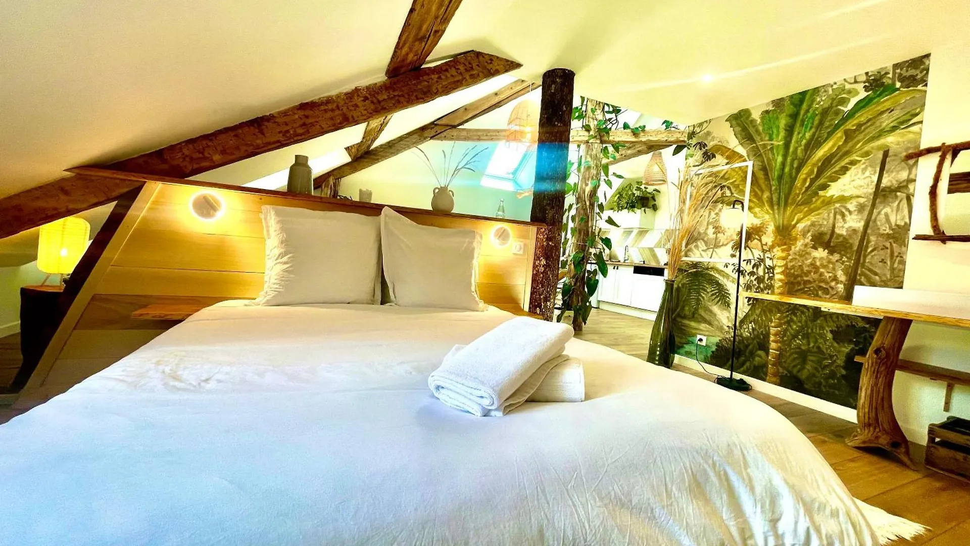 Appartamento Nid Douillet Sous Les Toits Avec Jacuzzi Bagnères-de-Bigorre 0*,